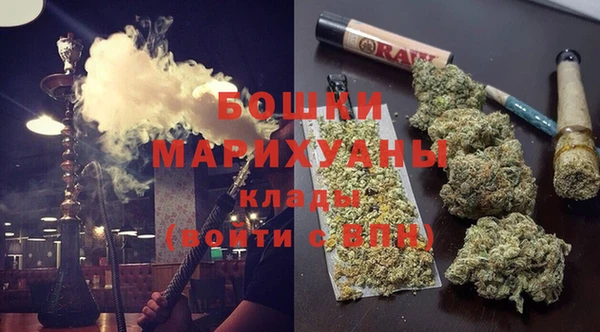 крисы Няндома