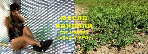 крисы Няндома