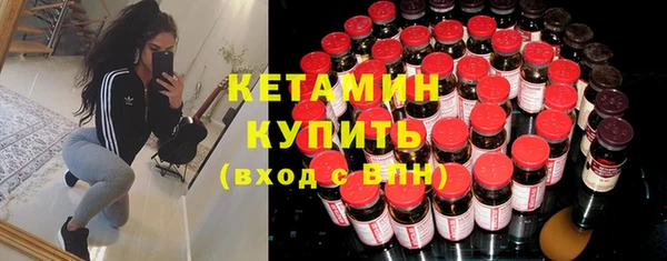 крисы Няндома