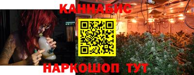 крисы Бийск