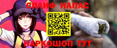 крисы Бийск