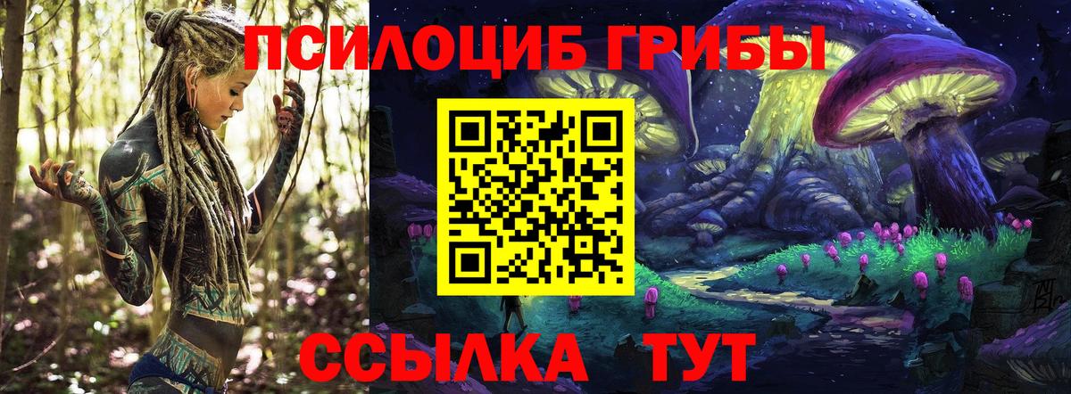 Псилоцибиновые грибы прущие грибы  Гурьевск  Псилоцибиновые грибы Magic Shrooms 