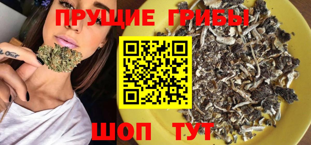Галлюциногенные грибы Magic Shrooms  Вход с VPN  цены наркотик  Псилоцибиновые грибы MAGIC MUSHROOMS  Гурьевск 