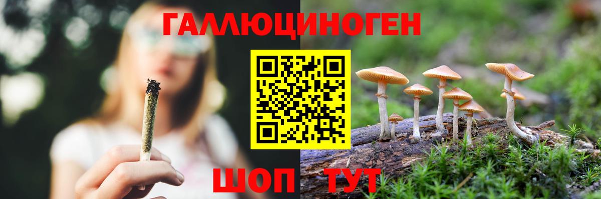 Псилоцибиновые грибы Cubensis Гурьевск